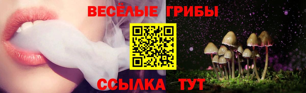 Белогорск  Псилоцибиновые грибы Cubensis  Вход с VPN  купить  сайты  Псилоцибиновые грибы GOLDEN TEACHER 